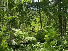 0 BALSAM LAKE DRIVE | Kawartha Lakes Ontario | Slide Image Eight