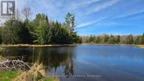 276 5TH CONCESSION ROAD N | Tweed Ontario | Slide Image Twenty-eight