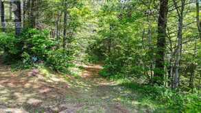 24224 62 HIGHWAY | Coe Hill Ontario | Slide Image Forty-two
