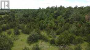 1794 SPRINGBROOK ROAD | Stirling-Rawdon Ontario | Slide Image Sixteen