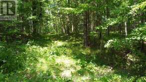 1794 SPRINGBROOK ROAD | Stirling-Rawdon Ontario | Slide Image Two