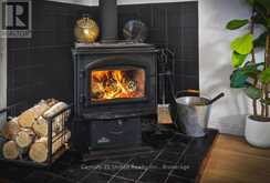 17 FIRE RTE 79 | North Kawartha Ontario | Slide Image Four