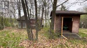 100 COW ISLAND | Otonabee-South Monaghan Ontario | Slide Image Thirteen