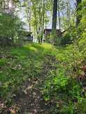 100 COW ISLAND | Otonabee-South Monaghan Ontario | Slide Image Nine