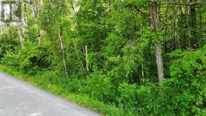 0 TEAL (RP 39R9098) ROAD | Quinte West Ontario | Slide Image Three