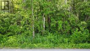 0 TEAL (RP 39R9098) ROAD | Quinte West Ontario | Slide Image Six