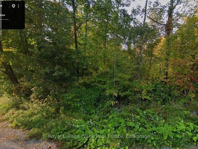 0 NORTHERN AVENUE Bobcaygeon Ontario, K0L 1J0 - Vacant Land For Sale