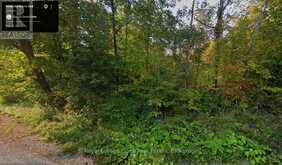 0 NORTHERN AVENUE | Bobcaygeon Ontario | Slide Image One