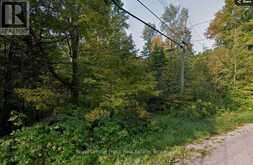0 NORTHERN AVENUE | Bobcaygeon Ontario | Slide Image Three