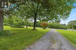 97C COUNTY ROAD 18 | Prince Edward Ontario | Slide Image Three