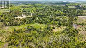 518 COUNTY RD 6 ROAD | North Kawartha Ontario | Slide Image Forty-five