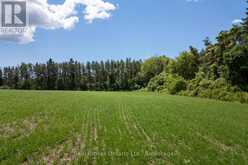 4206 MIDDLE ROAD | Haydon Ontario | Slide Image Two