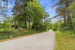 1818 COUNTY ROAD 2 | Otonabee-South Monaghan Ontario | Slide Image Thirty-five