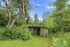 1818 COUNTY ROAD 2 | Otonabee-South Monaghan Ontario | Slide Image Forty