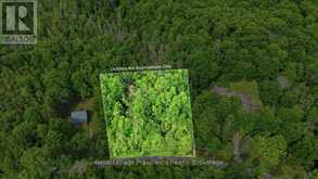 0 SWINBURNE LANE | Marmora Ontario | Slide Image Three