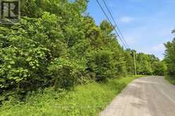 0 SWINBURNE LANE | Marmora Ontario | Slide Image Five