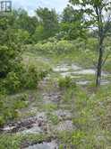 0 TOWER ROAD | Madoc Ontario | Slide Image Nine