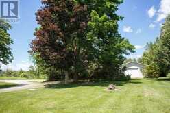 3555 HIGHWAY 7 HIGHWAY | Kawartha Lakes Ontario | Slide Image Thirty