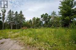 000 REID STREET | Bobcaygeon Ontario | Slide Image Two