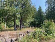 LOT 31 RIVER HEIGHTS ROAD | Marmora Ontario | Slide Image Thirteen