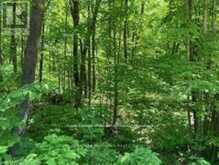 LOT 31 RIVER HEIGHTS ROAD | Marmora Ontario | Slide Image Two