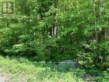 LOT 31 RIVER HEIGHTS ROAD | Marmora Ontario | Slide Image Six