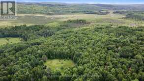 725 PEPLINSKI HOMESTEAD ROAD | Madawaska Valley Ontario | Slide Image Thirty-four