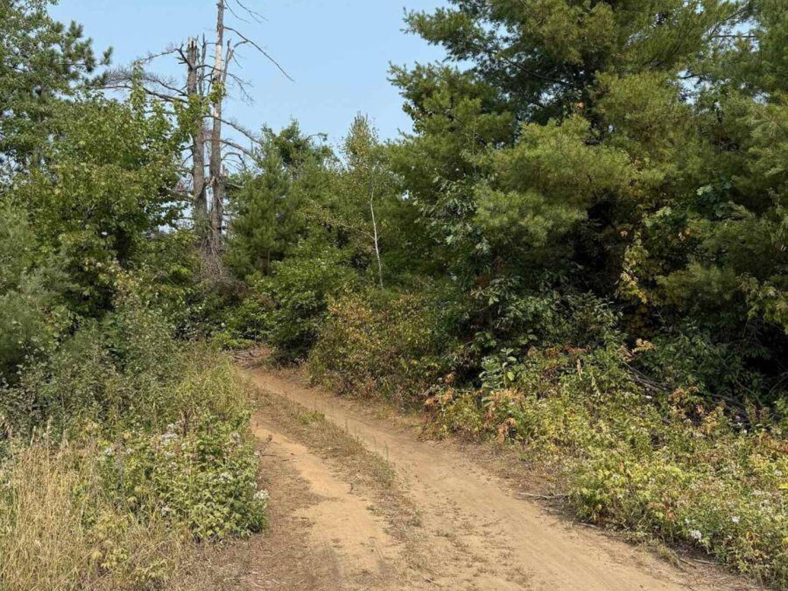 0 POTTER SETTLEMENT ROAD, Tweed, Ontario K0K 3J0