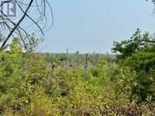 0 POTTER SETTLEMENT ROAD | Tweed Ontario | Slide Image Two
