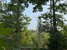 0 POTTER SETTLEMENT ROAD | Tweed Ontario | Slide Image Three