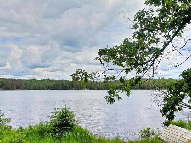 0 WEST EELS LAKE ROAD Apsley Ontario, K0L 1A0 - Waterfront Home For sale