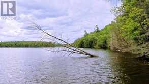 0 WEST EELS LAKE ROAD | Apsley Ontario | Slide Image Twelve