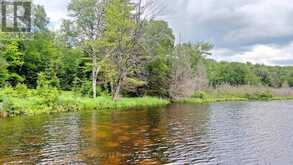 0 WEST EELS LAKE ROAD | Apsley Ontario | Slide Image Thirteen