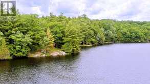 0 WEST EELS LAKE ROAD | Apsley Ontario | Slide Image Fifteen