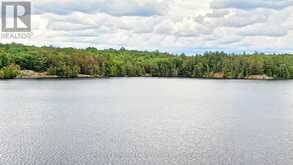 0 WEST EELS LAKE ROAD | Apsley Ontario | Slide Image Sixteen