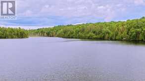 0 WEST EELS LAKE ROAD | Apsley Ontario | Slide Image Seventeen
