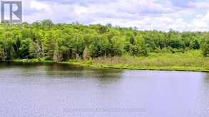 0 WEST EELS LAKE ROAD | Apsley Ontario | Slide Image Eighteen
