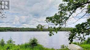0 WEST EELS LAKE ROAD | Apsley Ontario | Slide Image One