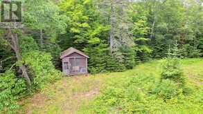 0 WEST EELS LAKE ROAD | Apsley Ontario | Slide Image Two