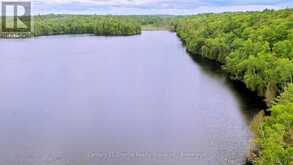 0 WEST EELS LAKE ROAD | Apsley Ontario | Slide Image Three