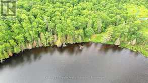 0 WEST EELS LAKE ROAD | Apsley Ontario | Slide Image Seven
