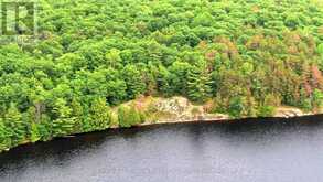 0 WEST EELS LAKE ROAD | Apsley Ontario | Slide Image Eight