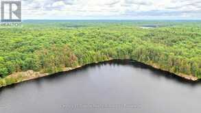 0 WEST EELS LAKE ROAD | Apsley Ontario | Slide Image Nine