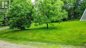 1482 SOUTH BAPTISTE LAKE ROAD | Bancroft Ontario | Slide Image Seventeen