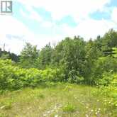 10118 HIGHWAY 41 HIGHWAY | Addington Highlands Ontario | Slide Image Eight