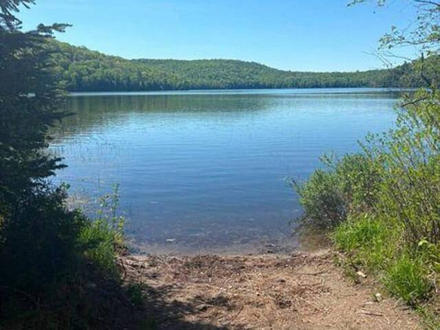 371 ALBION LAKE DRIVE Bancroft Ontario, K0L 1C0 - Waterfront Land For Sale
