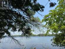 16 IS 12 CORDOVA LK ISLAND | Havelock-Belmont-Methuen Ontario | Slide Image Nineteen