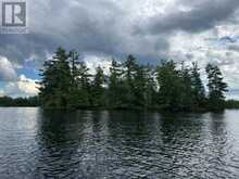 16 IS 12 CORDOVA LK ISLAND | Havelock-Belmont-Methuen Ontario | Slide Image Three
