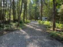 0 PT LT 13 CON 8 ROAD | Apsley Ontario | Slide Image Four