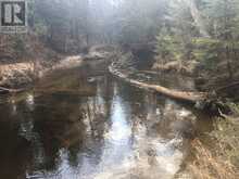 0 PT LT 13 CON 8 ROAD | Apsley Ontario | Slide Image Five